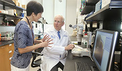 Dr. Raymond DuBois talks with research associate Jie We